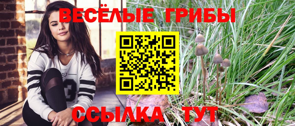 Галлюциногенные грибы Magic Shrooms Кимовск